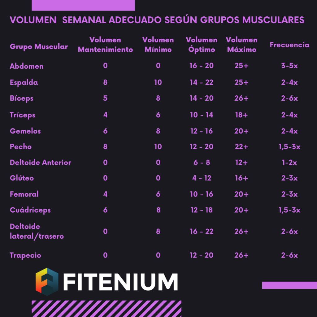 Volumen semanal adecuado según grupos musculares